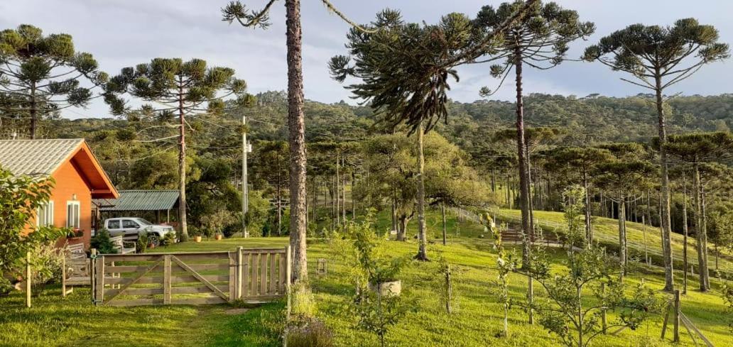Chale Bienz - Hospedagem Rural Urubici Exterior photo